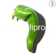 3 Anaheim Pepper 3 Anaheim Pepper